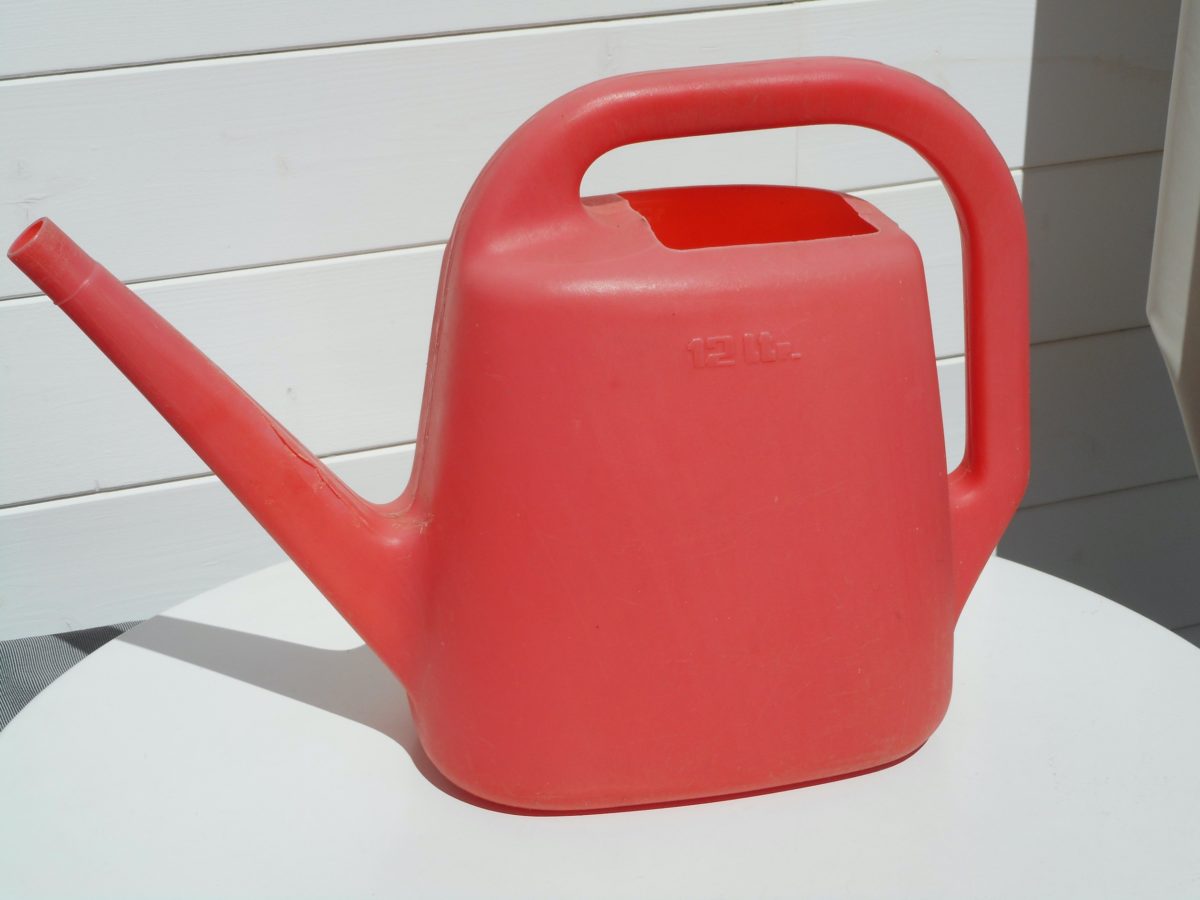 DSCN1301