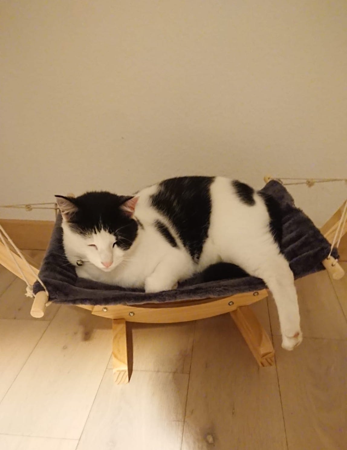 hamac-chat