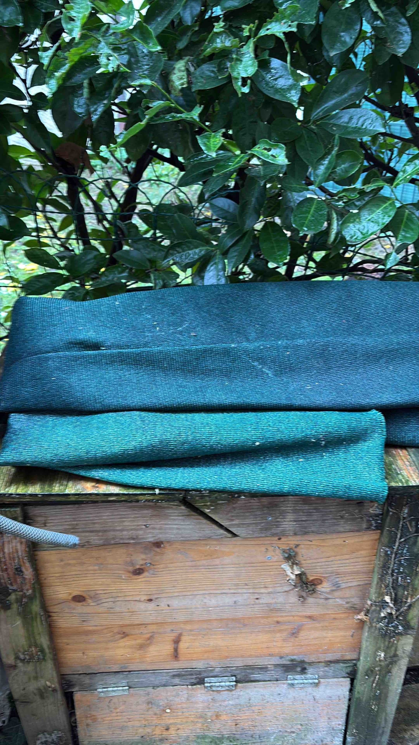 F9794BD0-6B54-4D17-9B69-136301C8D651