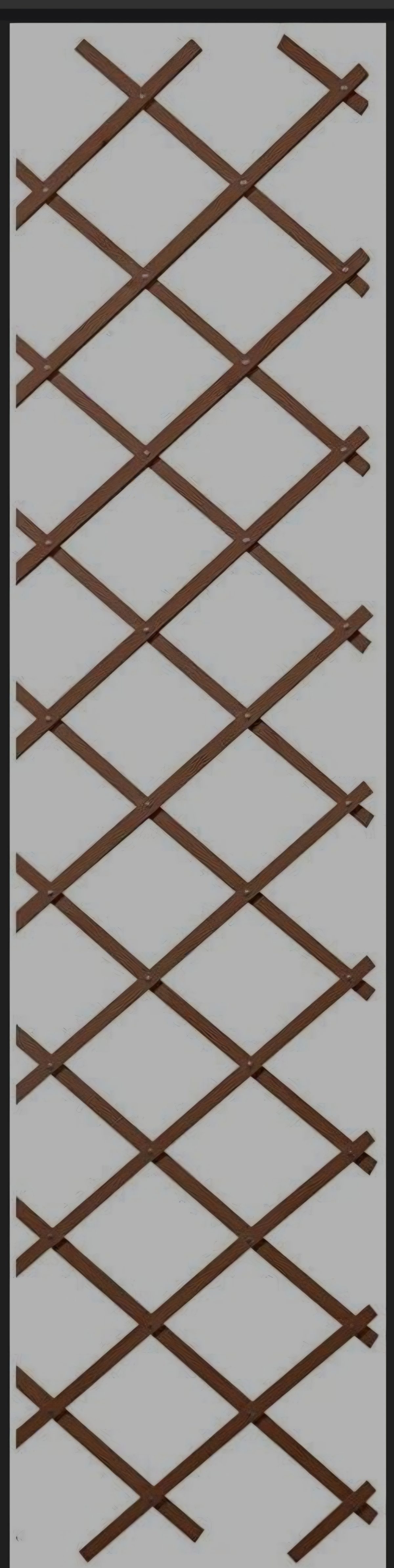 Screenshot_20260428_105925_Samsung Browser