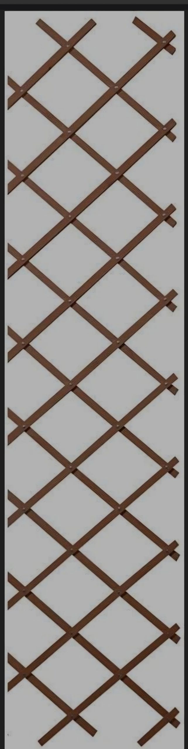 Screenshot_20260428_105925_Samsung Browser