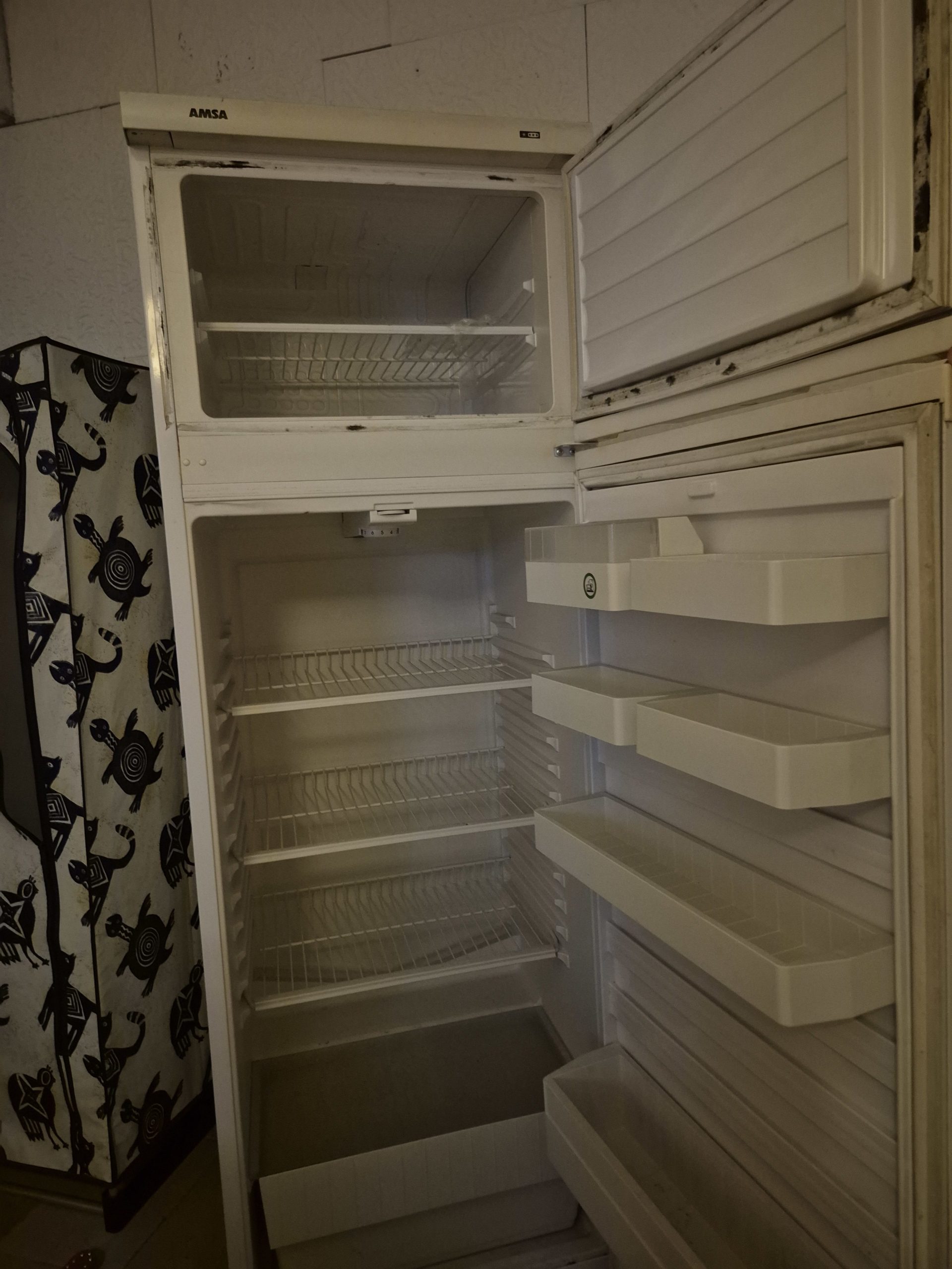 frigo 2